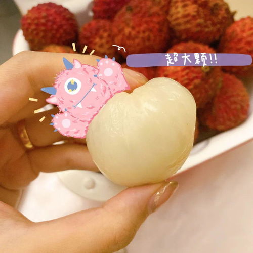 荔枝飲品大測(cè)評(píng),即刻擁有初夏快樂 丨xx玩樂團(tuán)