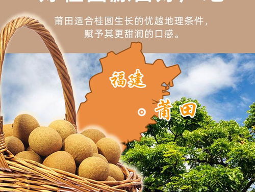 莆田桂圓肉龍眼肉干無核特產(chǎn)無加糖龍眼肉干半斤 一斤